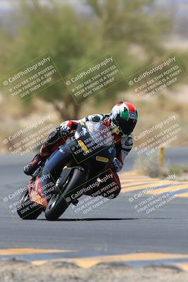 media/May-14-2023-SoCal Trackdays (Sun) [[024eb53b40]]/Turn 5 Tree of Life (1125am)/